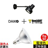 【防雨型エクステリアライト用器具セット】 LEDビーム電球 口金E26 【高演色 クラス2】 【演色A】 高演色Ra92 非調光 フリッカーフリー ノイズレス 防塵 防水 仕様 IP65 電球色3000K 15Ｗ ビーム球160Ｗ相当 ビーム角度120° PAR38 + 大光電機 DOL-3766XB 器具セット 2年保証 工事必要 同梱不可【送料無料対象外商品】