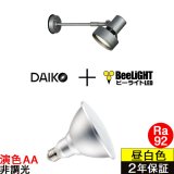【防雨型エクステリアライト用器具セット】 LEDビーム電球 口金E26 【高演色 クラス2】 【演色AA】 高演色Ra92 非調光 フリッカーフリー ノイズレス 防塵 防水 仕様 IP65 昼白色5000K 15Ｗ ビーム球160Ｗ相当 ビーム角度120° PAR38 + 大光電機 DOL-3766XS 器具セット 2年保証 工事必要 同梱不可【送料無料対象外商品】