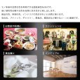 画像7: ダクトレール用スポットライト器具セット 高演色 クラス4 演色AAA LED電球 E11 超高演色Ra96 非調光 フリッカーフリー 中角24° Whiteモデル 電球色3000K 530lm 7W(ダイクロハロゲン60W相当) JDRφ50タイプ + AR-RB-Wセット 2年保証 (7)
