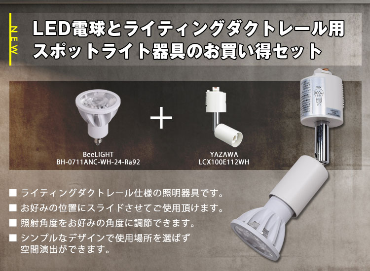 LED電球とライティングダクトレール用スポットライト器具のお買い得セット