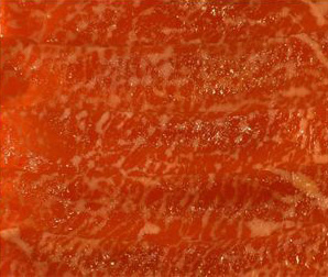 精肉の照射比較。従来のLED電球で撮影。