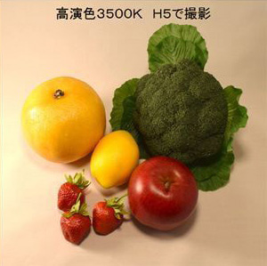 お野菜の照射比較。H5シリーズのLED電球で撮影。