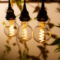 画像6: LED電球 E26 高演色Ra95 【高演色 クラス2】 【演色AA】 フィラメント電球 エジソン電球 エジソン球 スパイラル ボール形 4W 310lm 濃い電球色(2200K) 白熱電球20W-30W相当 クリアタイプ 1年保証